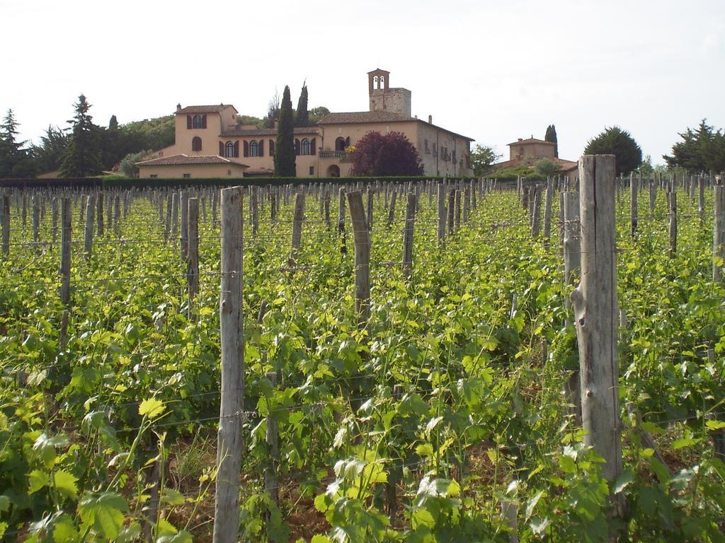 Il Pozzo Della Citerna Hotel Castelnuovo Berardenga Bagian luar foto