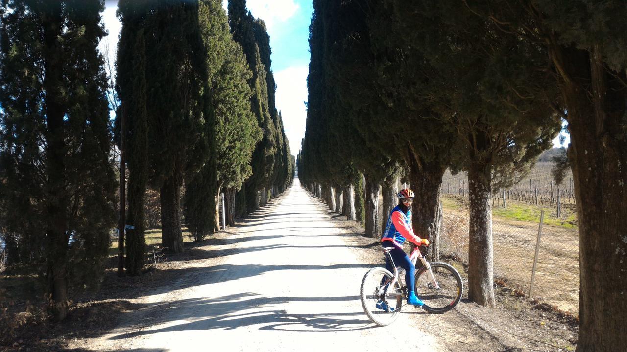 Il Pozzo Della Citerna Hotel Castelnuovo Berardenga Bagian luar foto