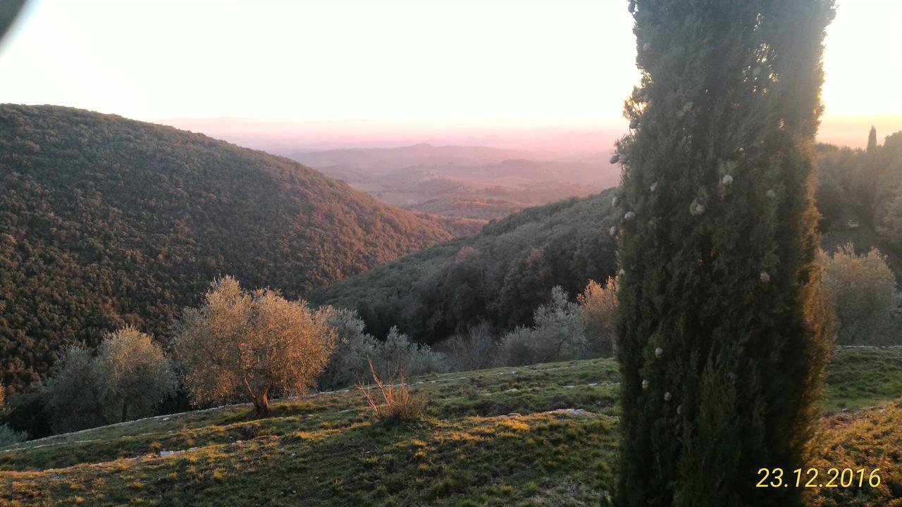 Il Pozzo Della Citerna Hotel Castelnuovo Berardenga Bagian luar foto